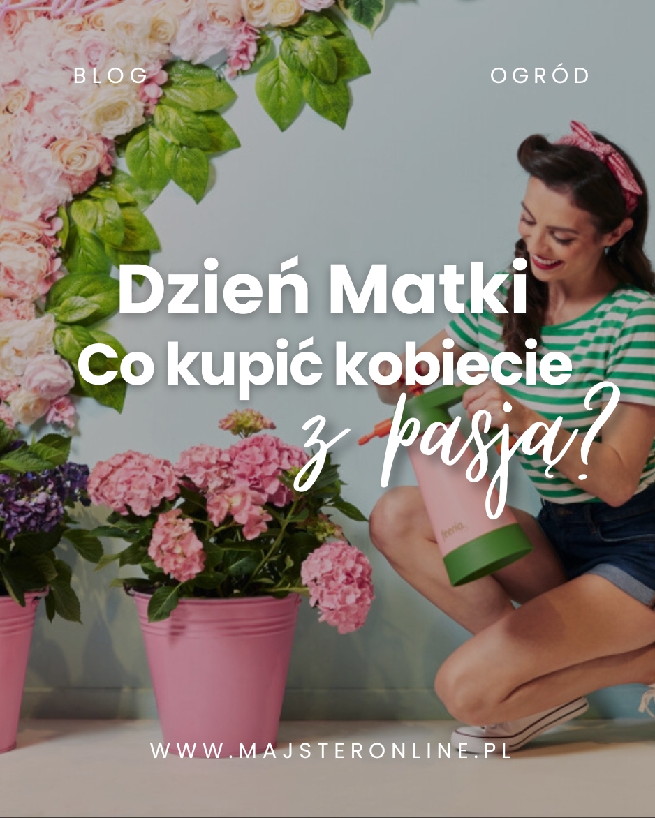 dzień kobiet